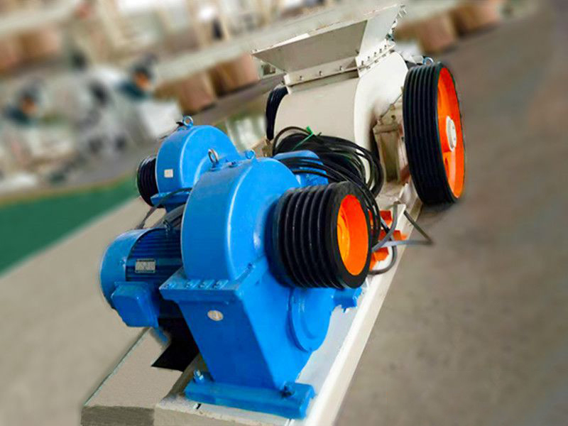 Проект 30t/h Raw Coal Roll Crusher (Anhui, Китай)