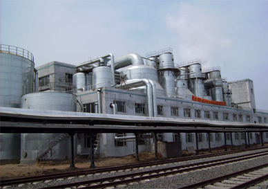 Годовой выход 150 000 тонн системы испарения DDGS (Changchun Jiliang China)